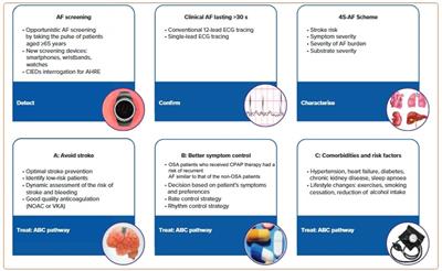 Atrial fibrillation: primary prevention, secondary prevention, and prevention of thromboembolic complications: part 1